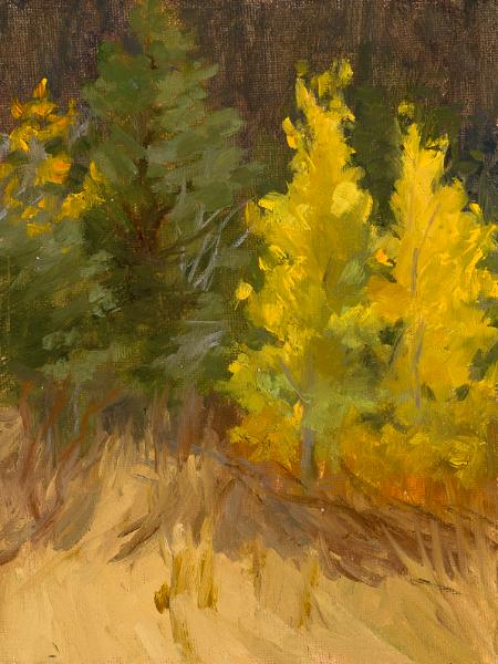 Aspens, Hope Valley