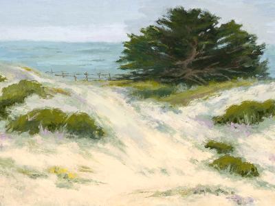 Asilomar Dunes